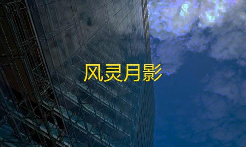 信誉赛车平台风灵月影